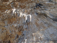 SNV80441.JPG